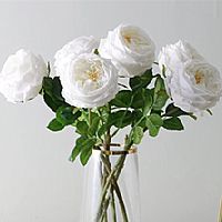 �a(ch��n)Ʒ_0000s_0003_��Ʒ�|(zh��)��