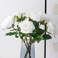 �a(ch��n)Ʒ_0000s_0002_��Ʒ�|(zh��)��