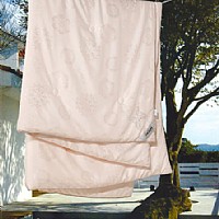 ��Oɣ�Q�z��