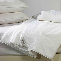 �F�����Q��