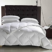 ��Ʒ���Z�q��