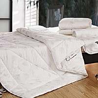 �����L(f��ng)