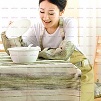 ��ʽ��������