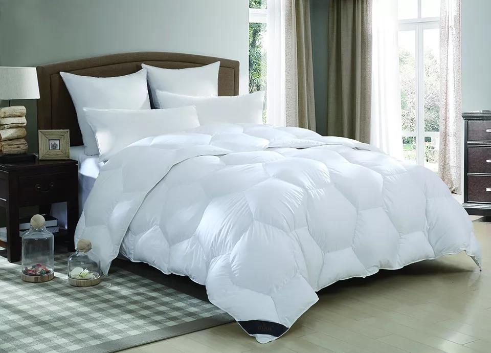 ƷZq˜ʳ_쿴I(mi)ı_˛](mi)