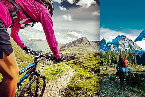 wSƳɹܿ؜ر{ʲôW